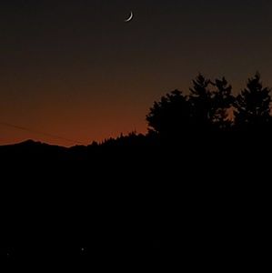 Meet your Posher, Greg